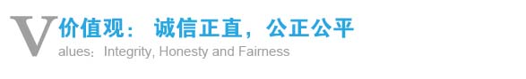 價值觀: 誠信正直,公正公平 價值觀: 誠信正直,公正公平